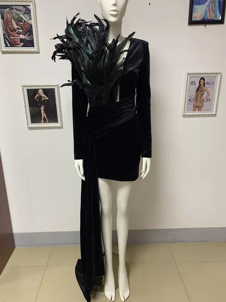 LUXURY VELVET DRESS WITH FEATHERS